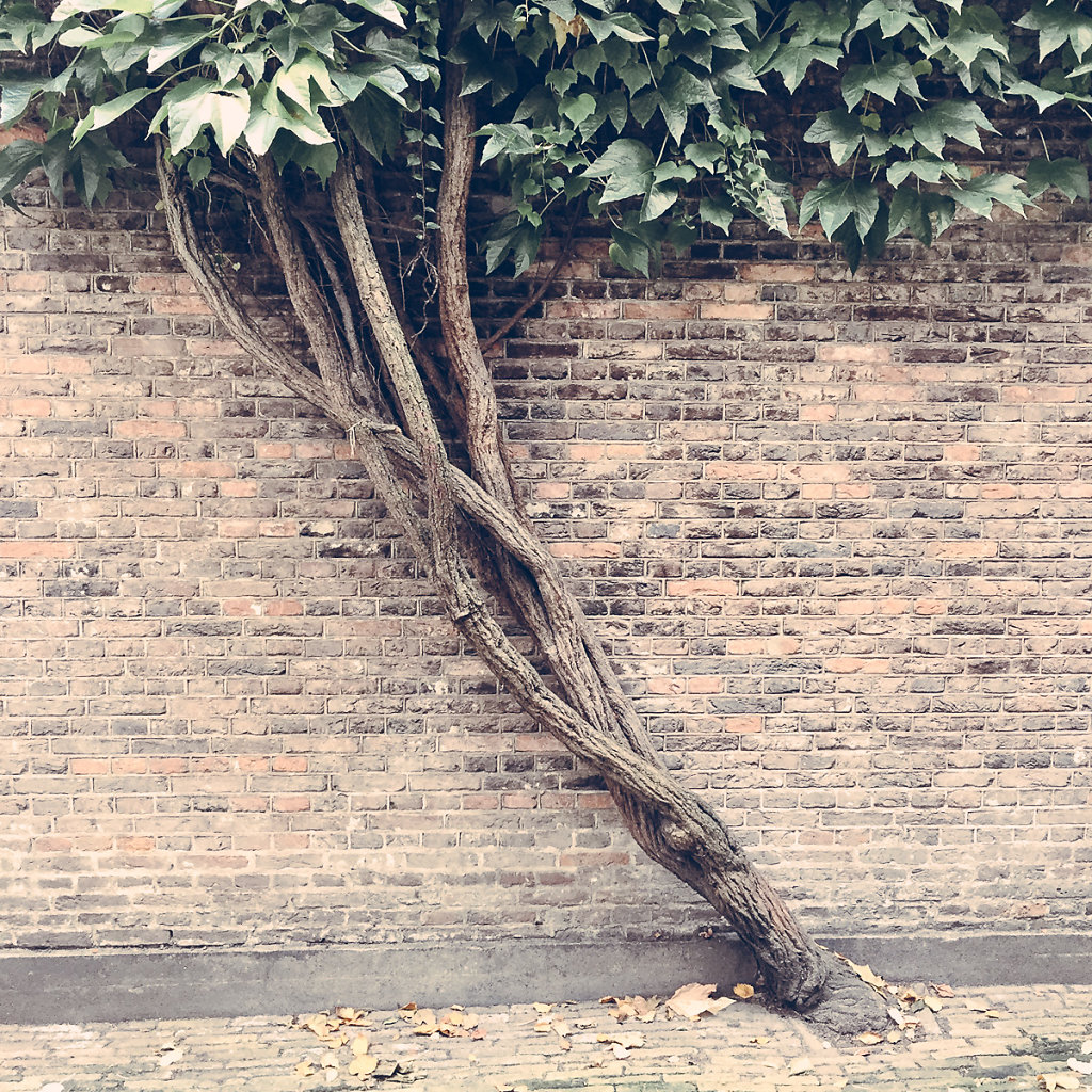 herbstkind-013.jpg