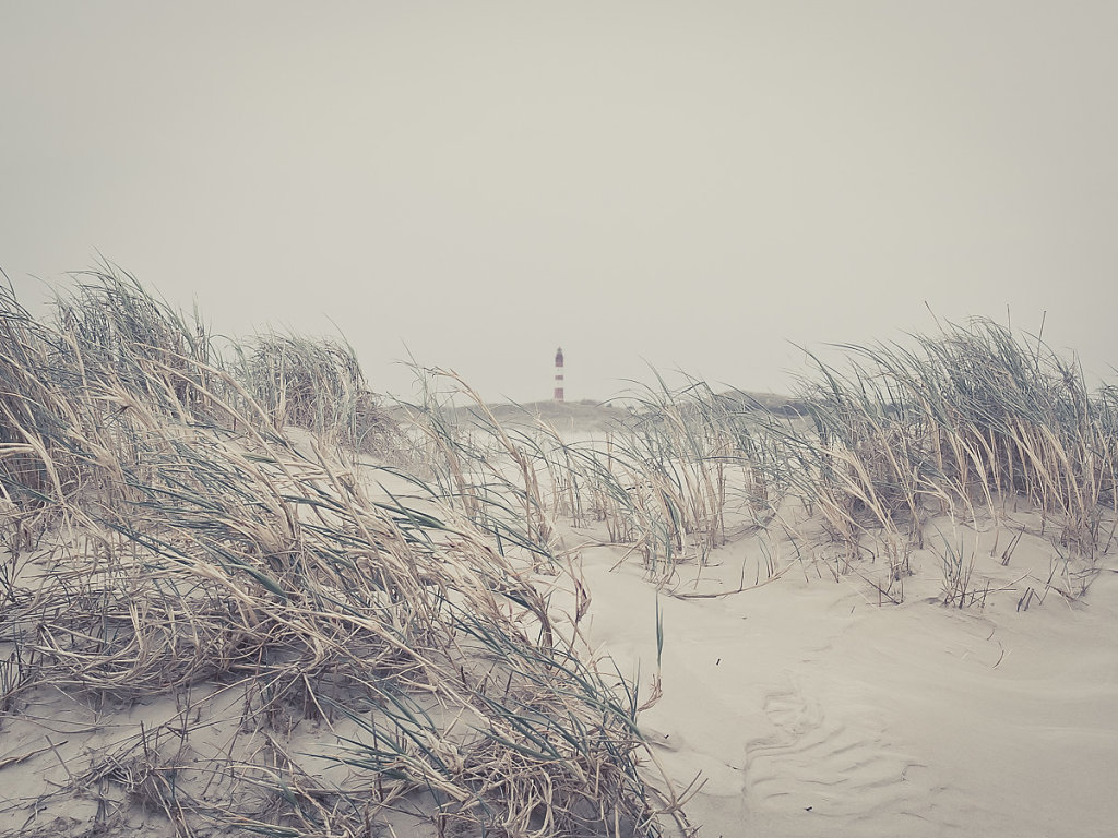 herbstkind-002.jpg