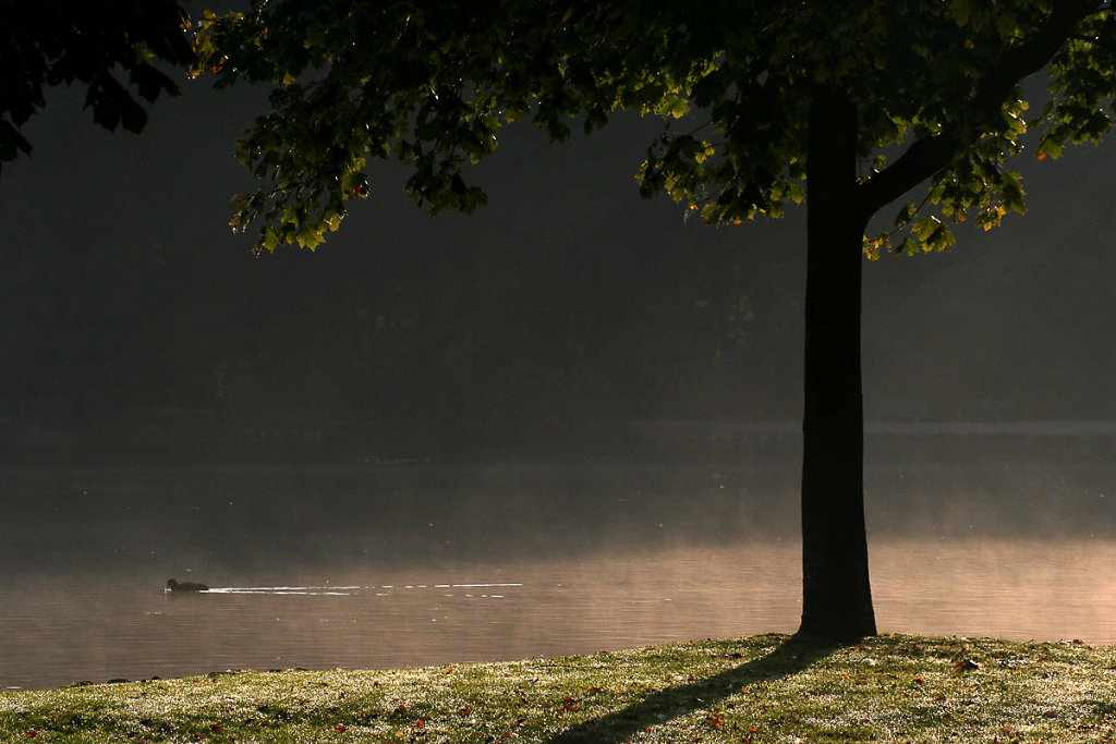 herbstkind-003.jpg