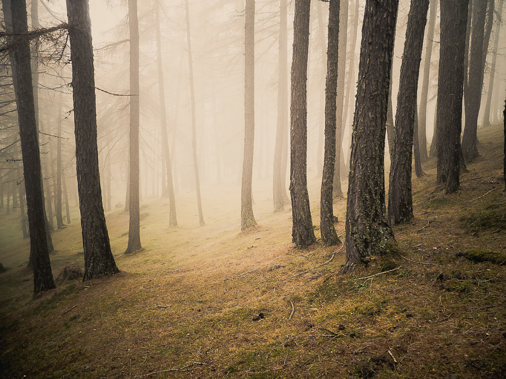 herbstkind-021.jpg
