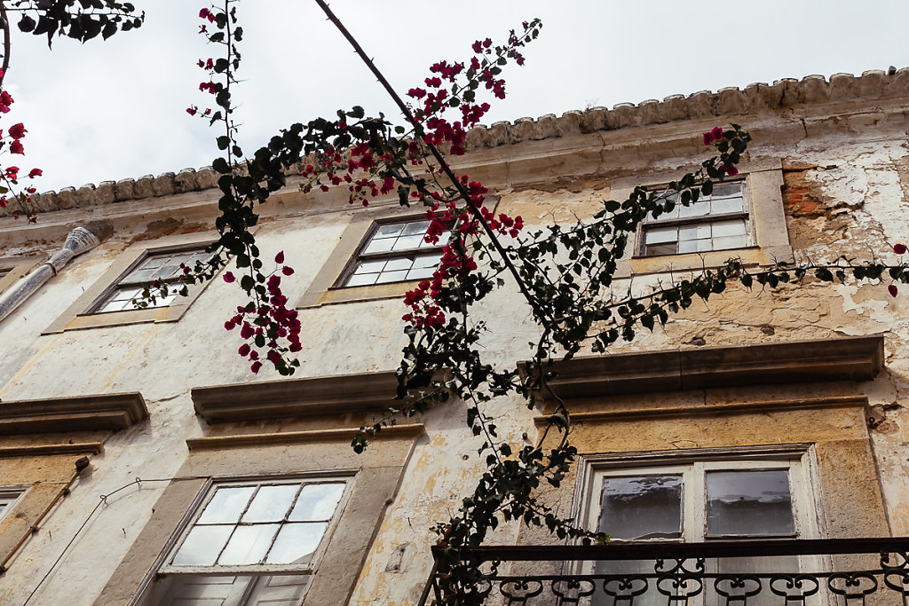 herbstkind-011.jpg