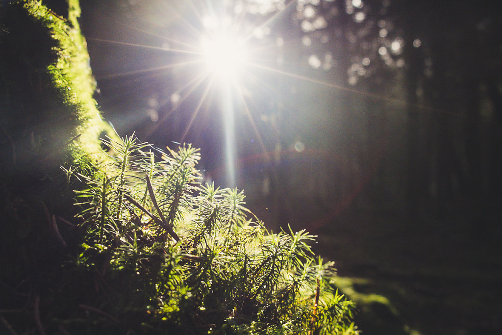 herbstkind-016.jpg