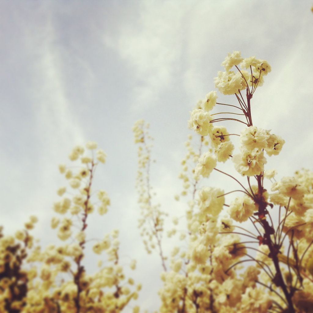 herbstkind-018.jpg